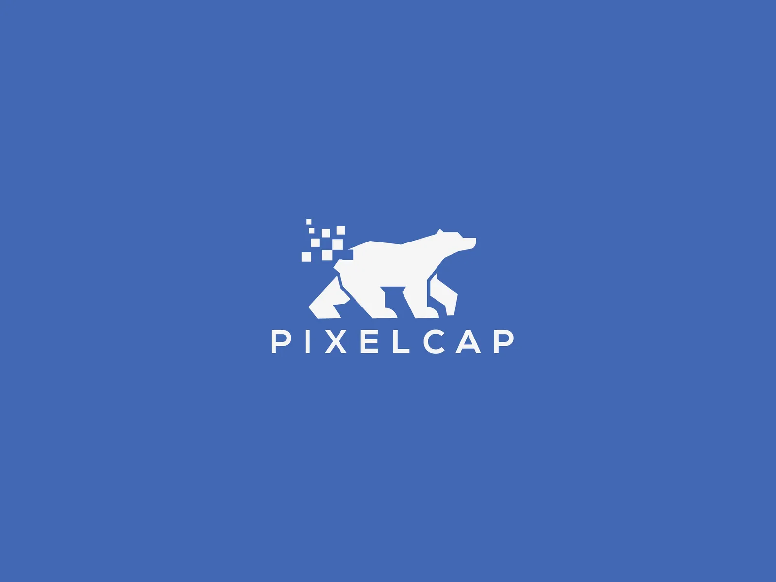 PixelCap: App - Facebook Multi Pixel (Bigcommerce)
